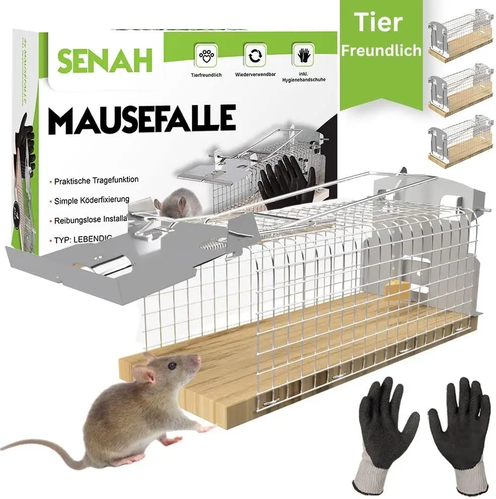 Piège à souris vivant en test 2023 Piège à souris vivant en test 2023