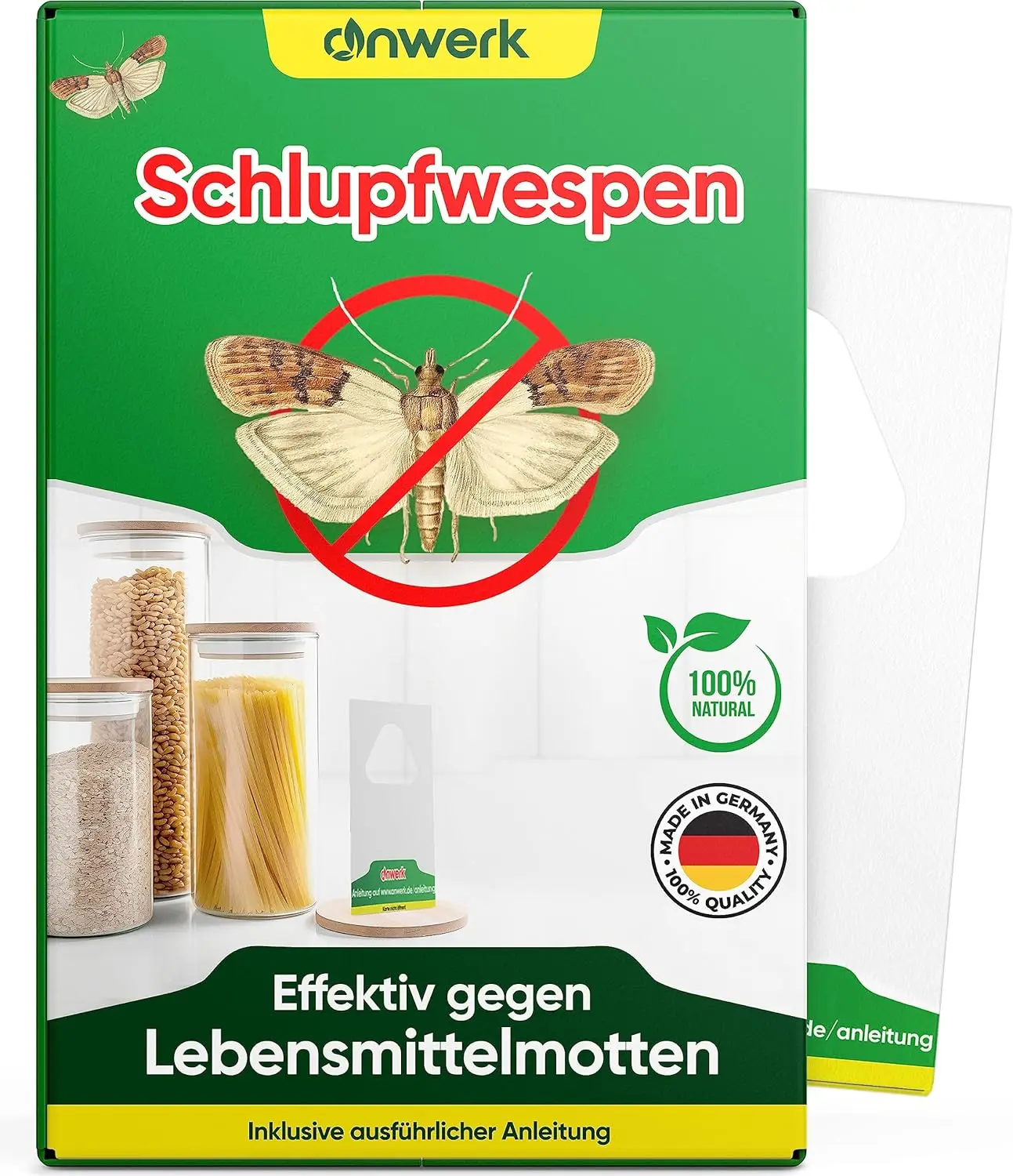 Slip wasps from Anwerk in the test 2024