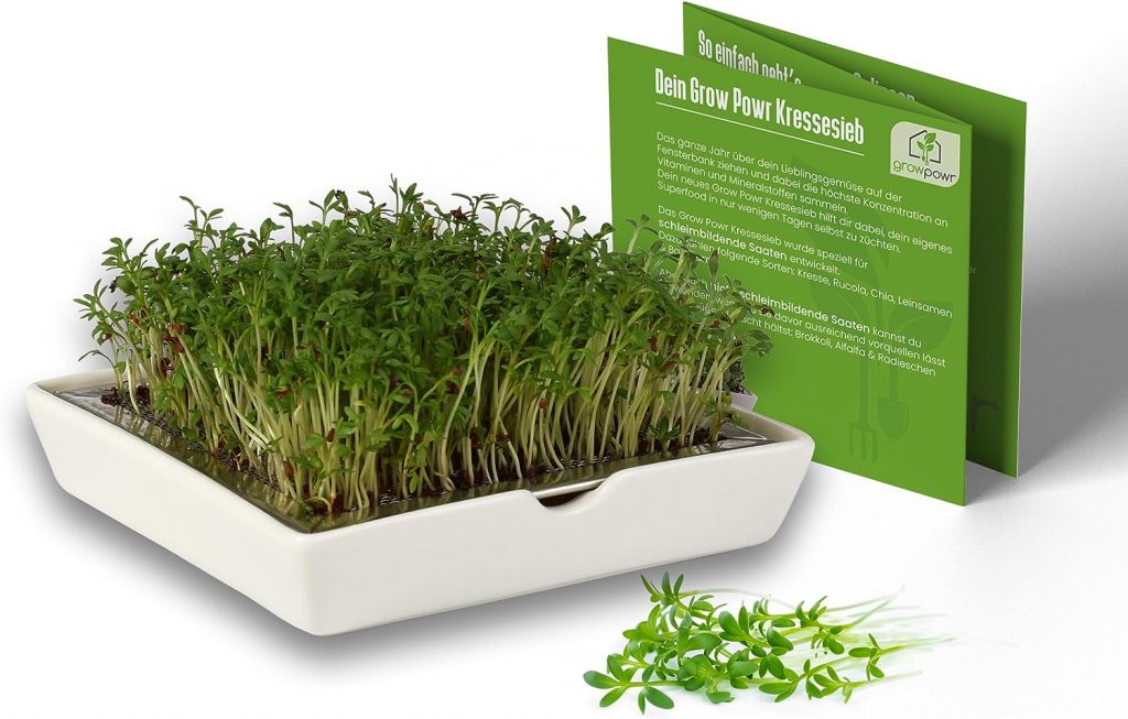 growpowr® cress growing tray