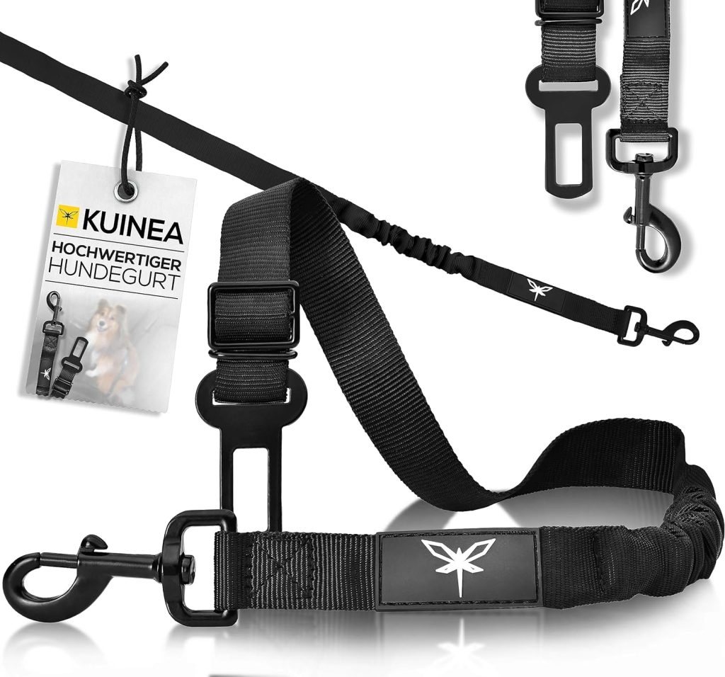 Kuinea dog harness for the car