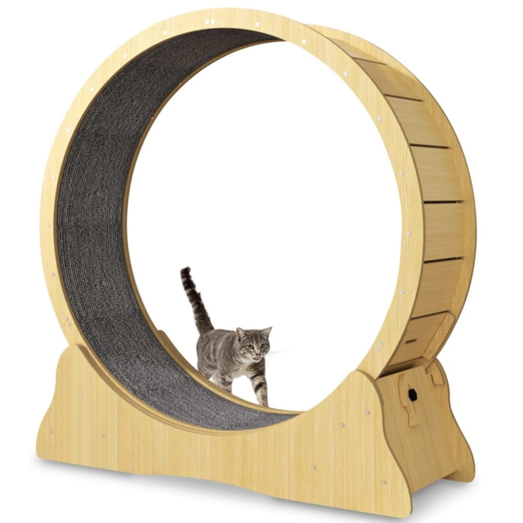 Roue d’exercice pour chats Baghira XXL en test 2024 Roue d’exercice pour chats Baghira XXL en test 2024