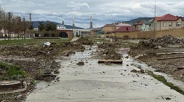 Почему «Мамедкала» в тренде: причины и поисковые запросы