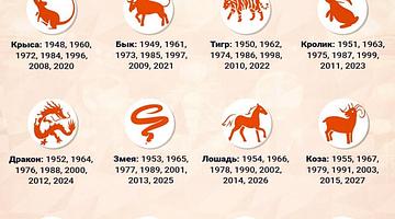 Почему «китайский гороскоп» стал популярным запросом в России: анализ текущих трендов