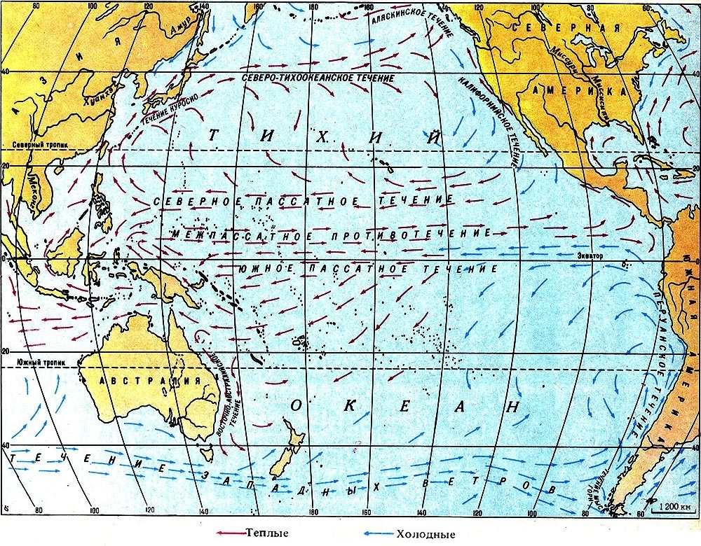 Тихий океан: мифы, новые виды и угроза перегрева
