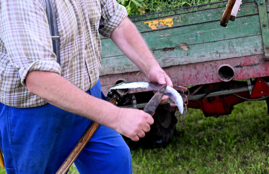 Почему «6 апреля праздник» стал популярным запросом в России