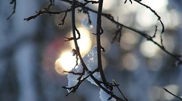 Уральские новости: снег в середине весны, радио против мобильных и рост трудовых ЧП