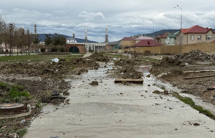 Почему «Мамедкала» в тренде: причины и поисковые запросы