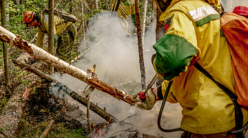 Почему «Свердловская область» в трендах: анализ новостных факторов
