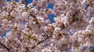 Овен: энергия Марса и новые возможности в начале апреля