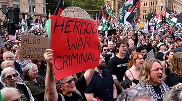 Почему «Австралия» в тренде в России: аналитика запросов и новости