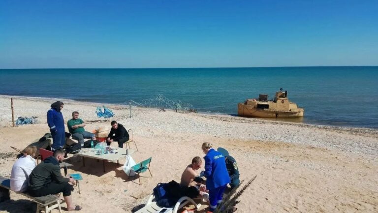 Сухогруз «Волго‑Балт 138» с пшеницей затонул в Азовском море