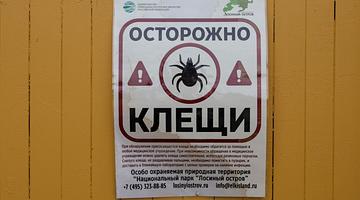 Ранняя весна и рост активности клещей: тревожные сигналы по всей России