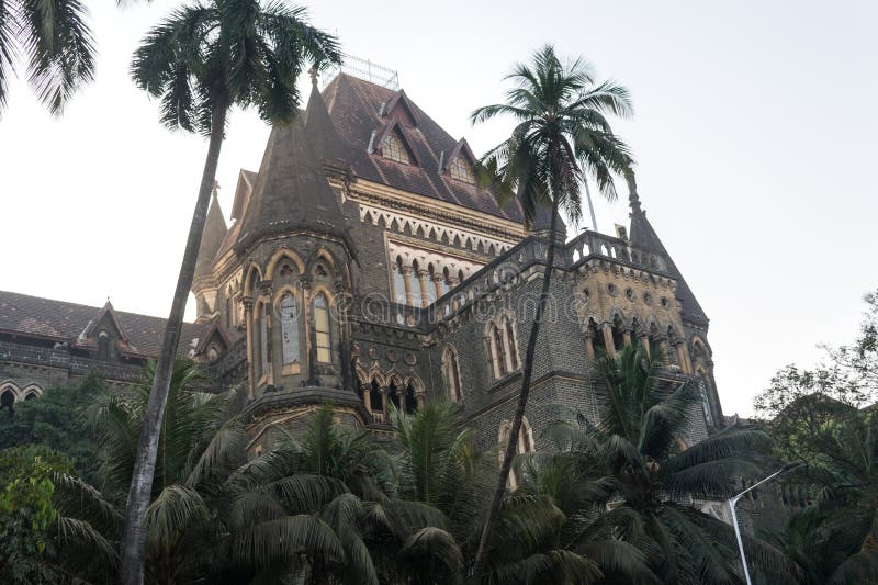 Why “Bombay” Is Trending in the U.S. – A News‑Driven Search Analysis