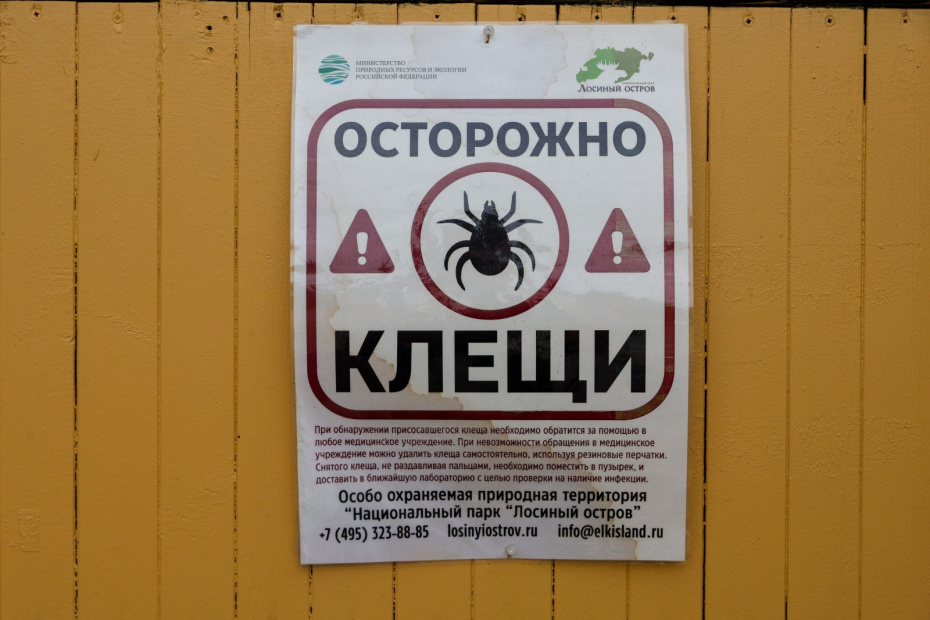 Точка роста: как изменился сезон клещей в России и что это значит для здоровья нации