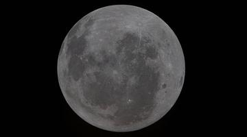 Почему слово «космос» сейчас в тренде в РФ: анализ запросов и свежие новости