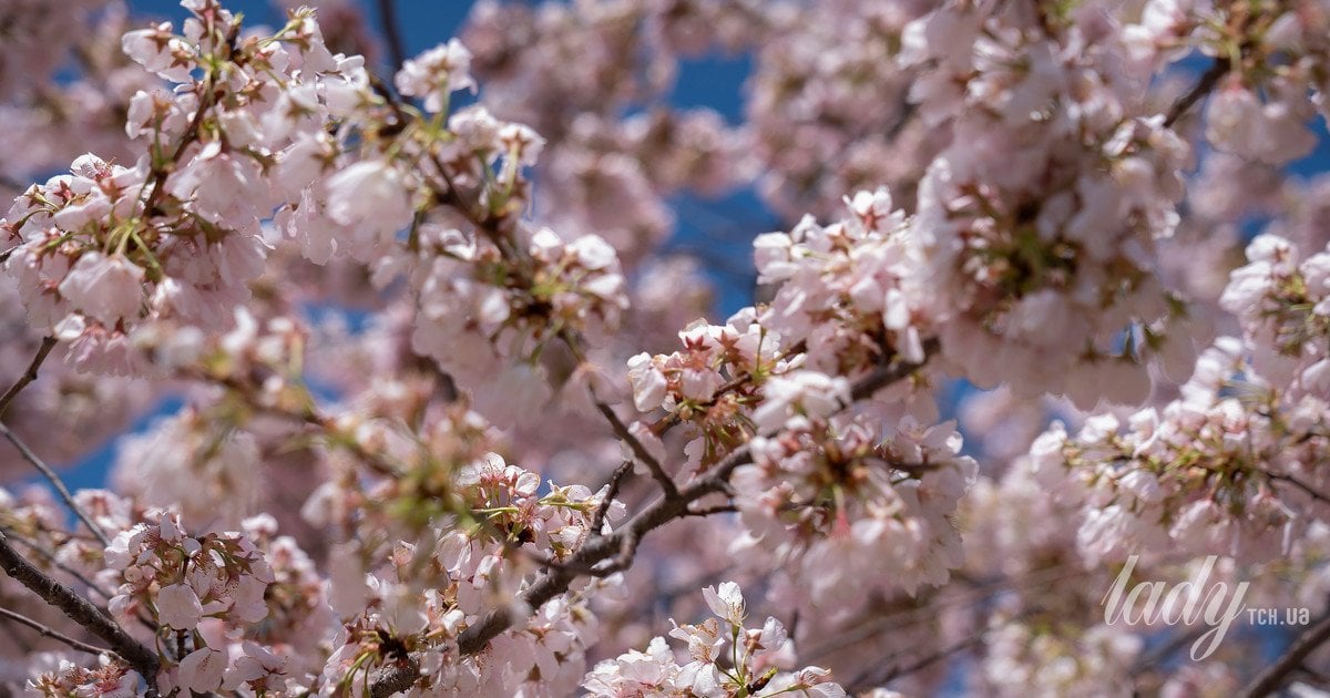 Овен: неделя бурных возможностей – от астрологии к финансовым перспективам