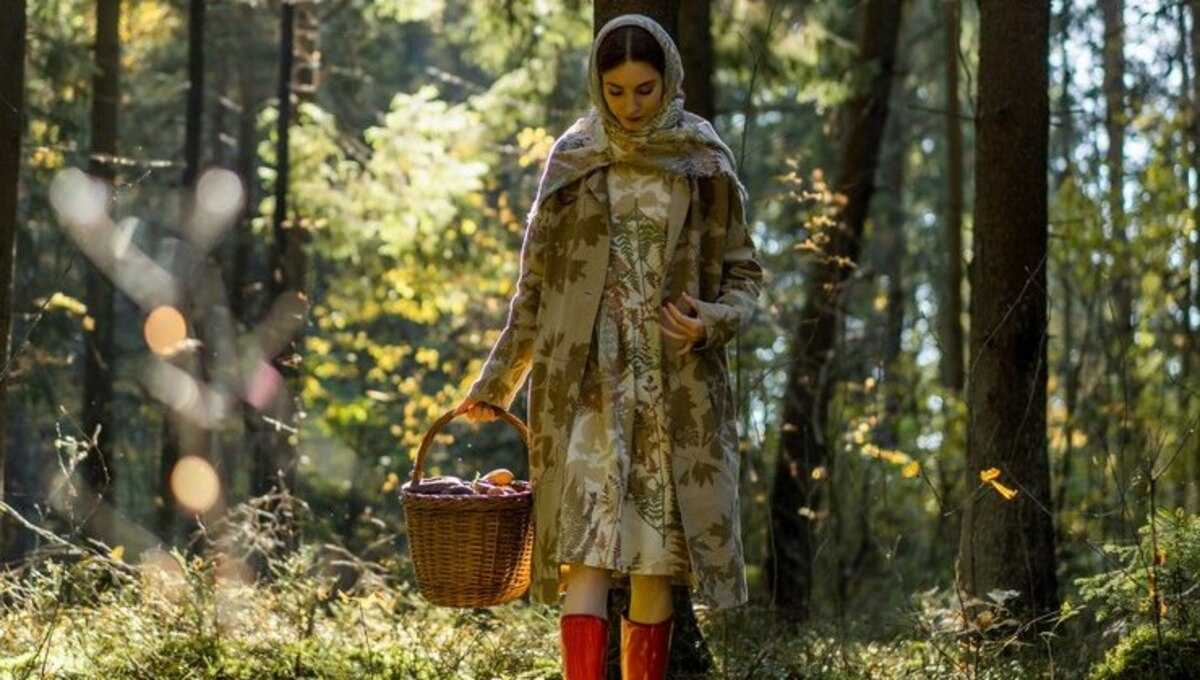 Весенний подъем грибного сезона в России: от Новосибирска до Подмосковья