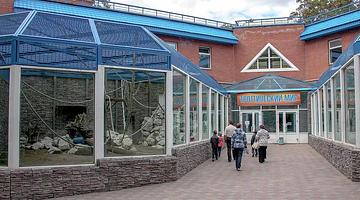 Зоопарки России: бесплатный вход, спасённые попугаи и новые экспозиции