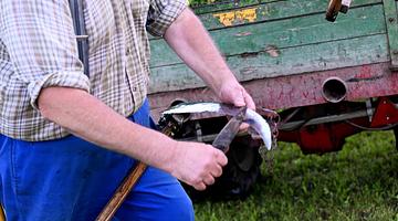 Почему «6 апреля праздник» стал популярным запросом в России