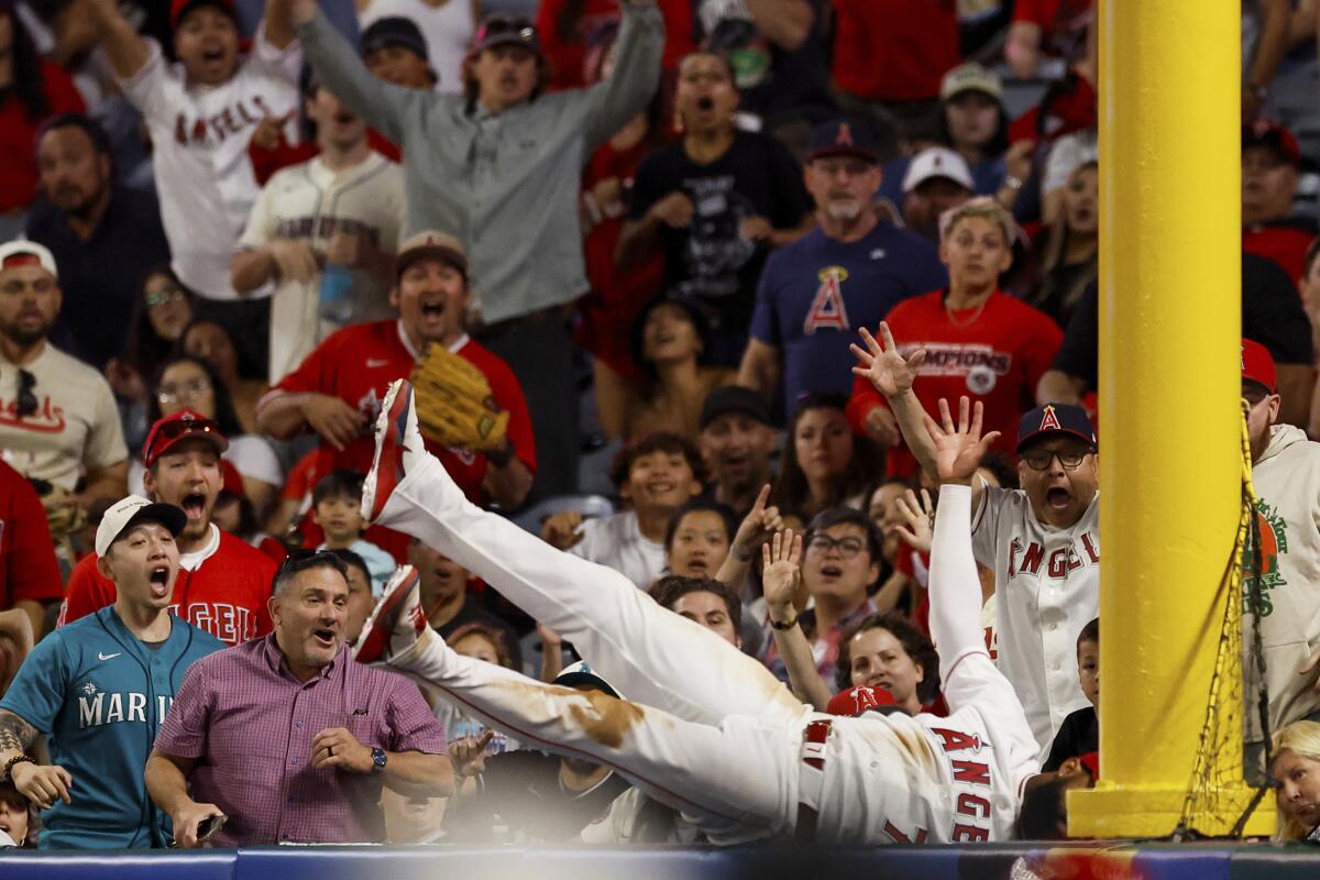 Why Jo Adell Is Trending Across the United States Right Now