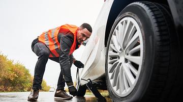 Почему запрос «шина транспортного средства» сейчас в тренде: разбор причин