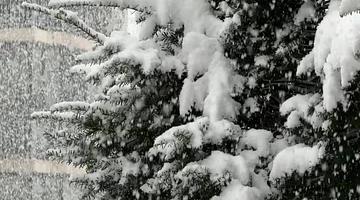Неожиданный зимний шок: снег и морозы в России в апреле