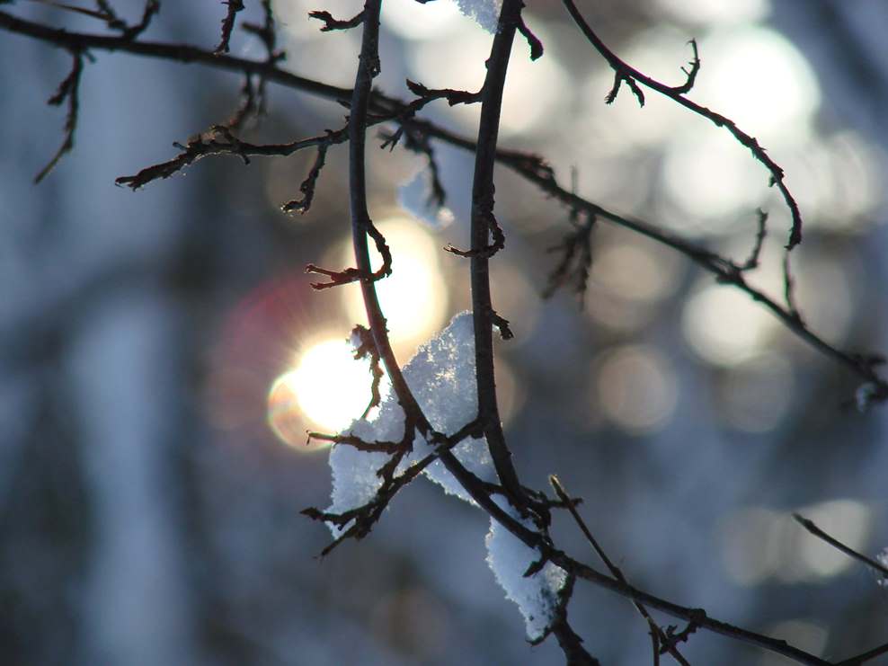 Уральские новости: снег в середине весны, радио против мобильных и рост трудовых ЧП