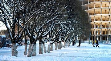 Холодные перемены: от московских ночей до арктических шторма