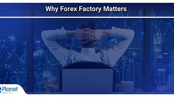 Forex Factory’s Pulse: What the Last Weeks Reveal About U.S. Market Sentiment