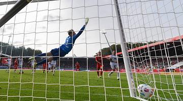 Почему запрос «боруссия – байер» стал популярным в России: анализ тенденций поиска