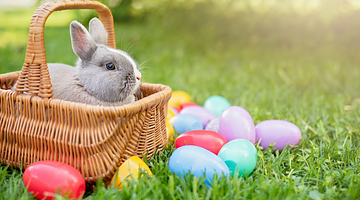 Easter 2026: Hope, Hype, and the Economics of a Spring Celebration