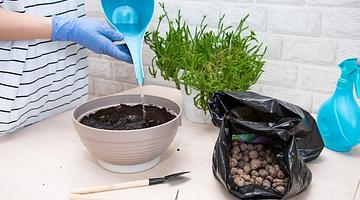 Домашние удобрения: как бытовой мусор превратить в урожайную прибыль