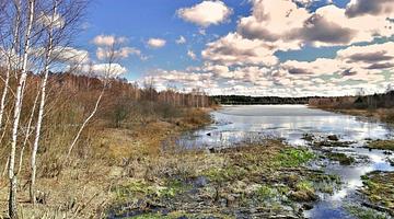 Как государственные праздники формируют общественное сознание в России: от Интернета до спорта