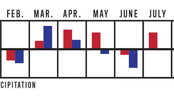Сквозная вьюга: как смена циклонов меняет московскую погоду и здоровье жителей