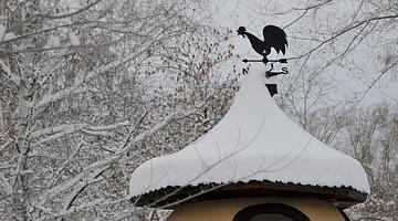 Уральские сигналы: от снежных тревог до технологических диалогов