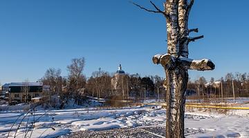Холодные новости России: от московского мороза к героическому подвигу