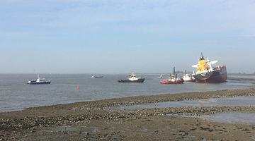 Нефтяной пролив в порту Антверпена: судоходство остановилось