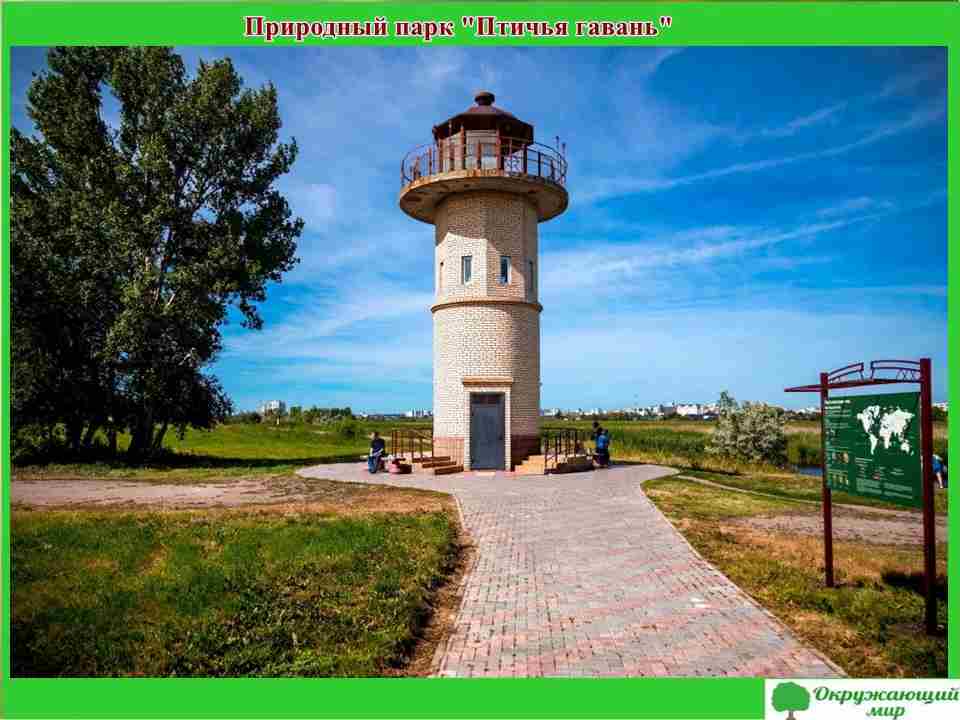 Омская область: новые шаги в экологической и социальной сфере