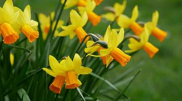 Синоптики предупреждают о резком похолодании на западе и жаре на востоке России