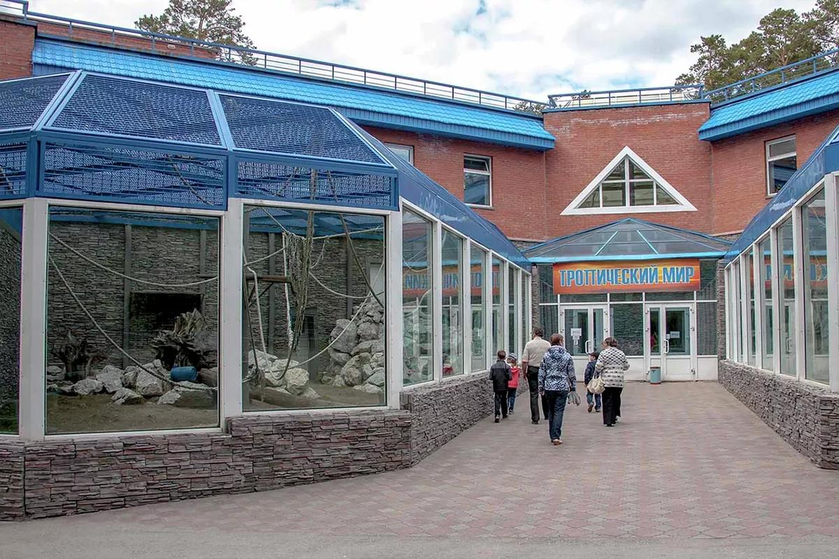 Зоопарки России: бесплатный вход, спасённые попугаи и новые экспозиции