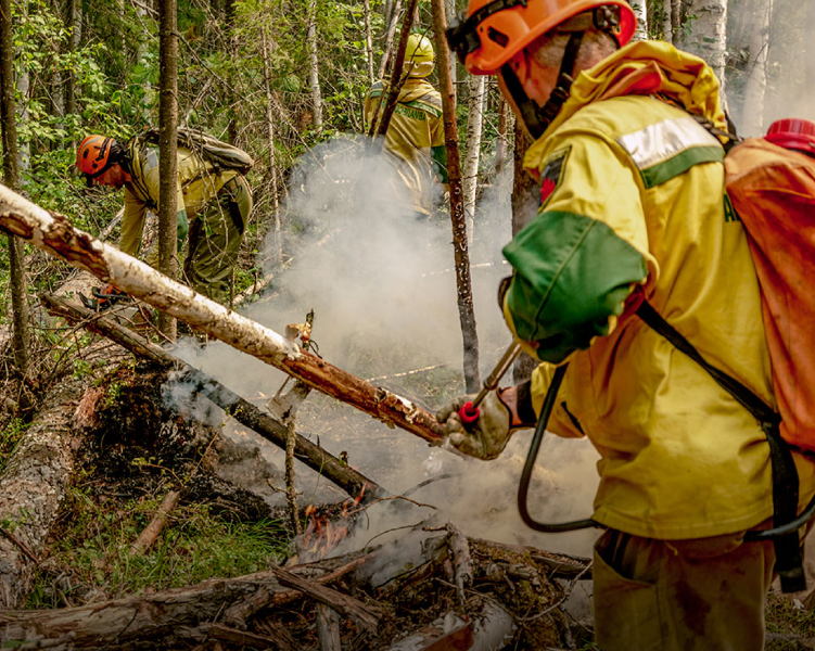 Почему «Свердловская область» в трендах: анализ новостных факторов