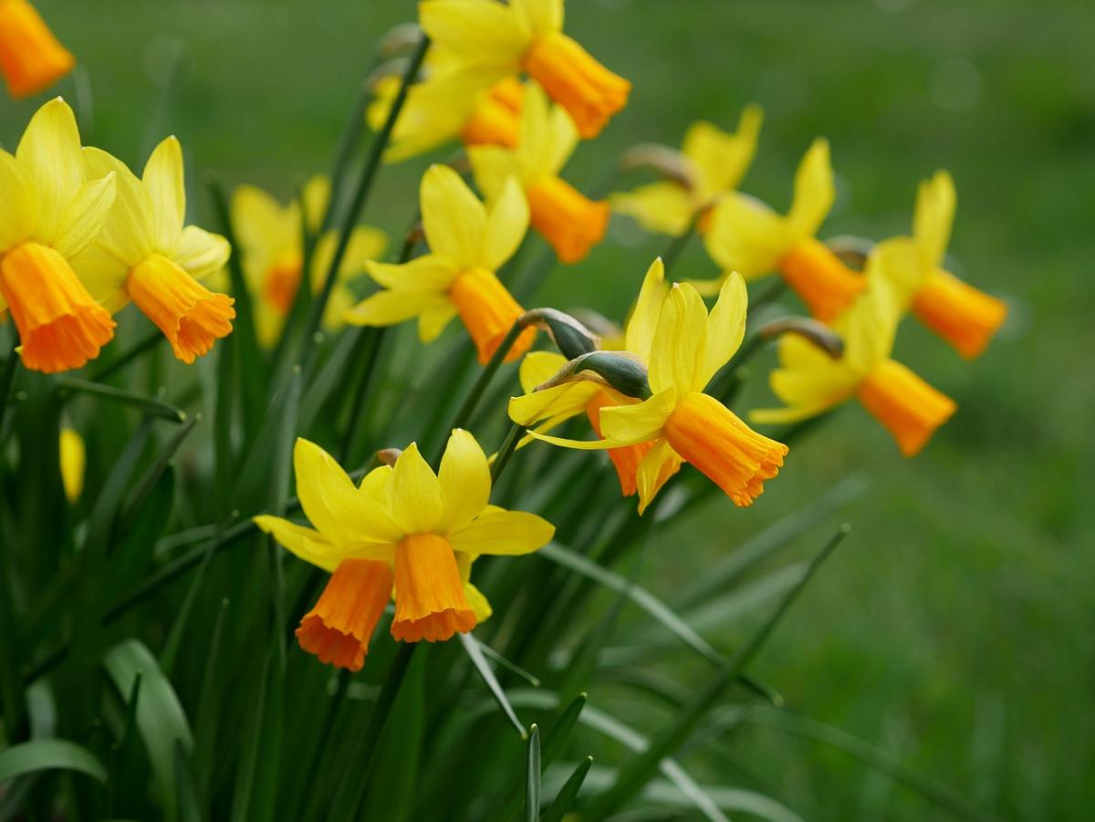 Синоптики предупреждают о резком похолодании на западе и жаре на востоке России