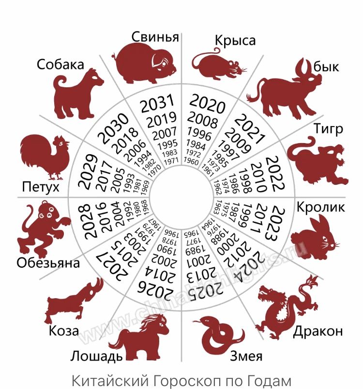 Звёздный прогноз и экономический ажиотаж: как гороскопы 2026‑го влияют на российские потребительские привычки
