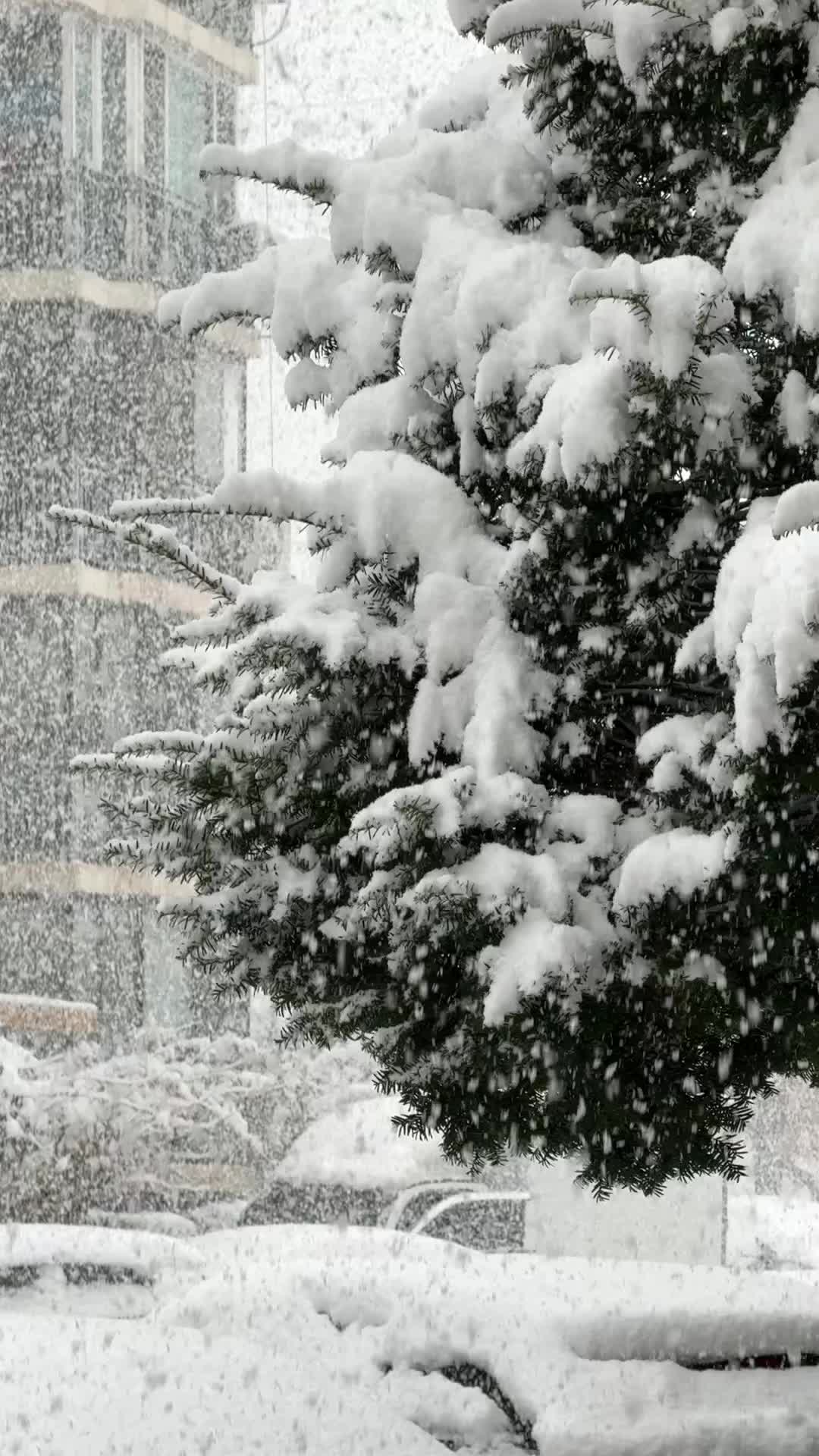 Неожиданный зимний шок: снег и морозы в России в апреле