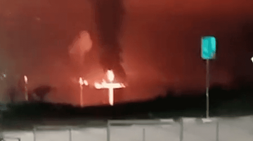 Новое дыхание Новороссийска: от тревоги дронов к зелёным инициативам