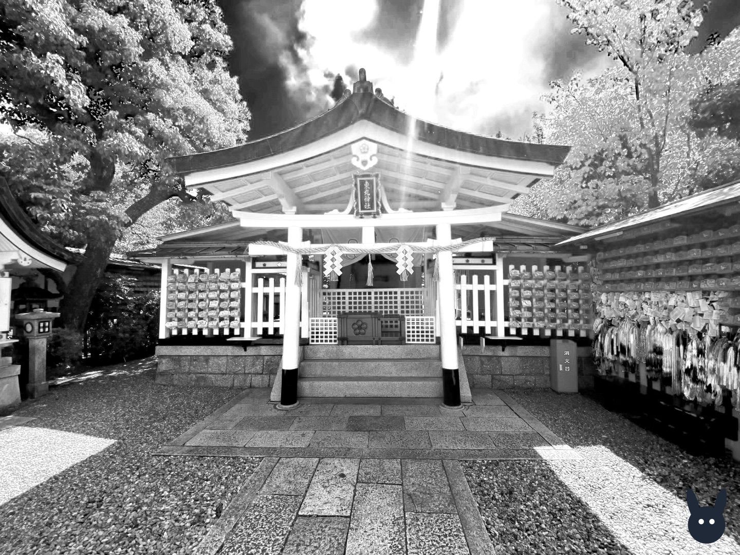 CF3DF0AF-5CE9-496D-902B-AE3A30BCEBC1