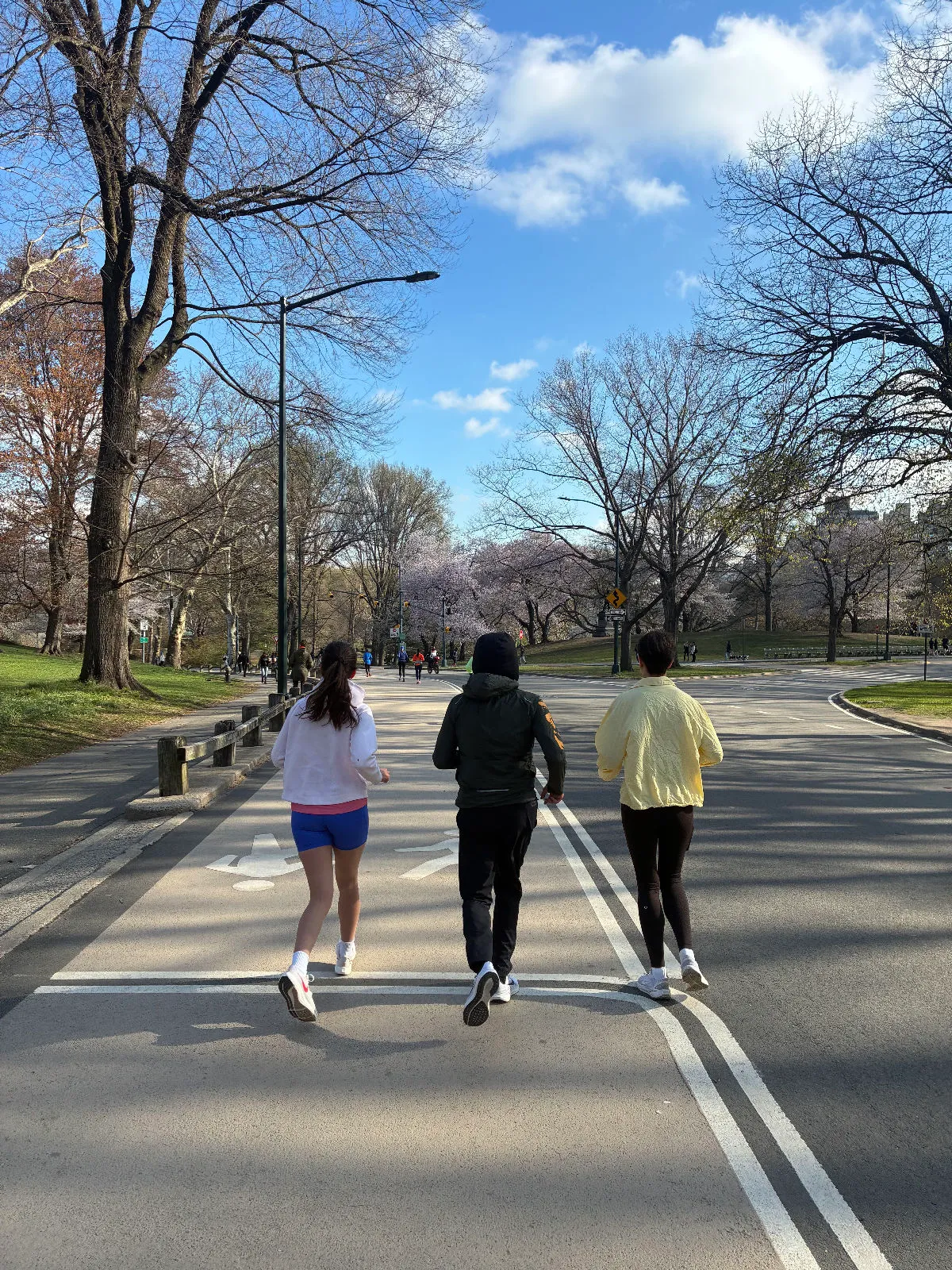 Afternoon Run