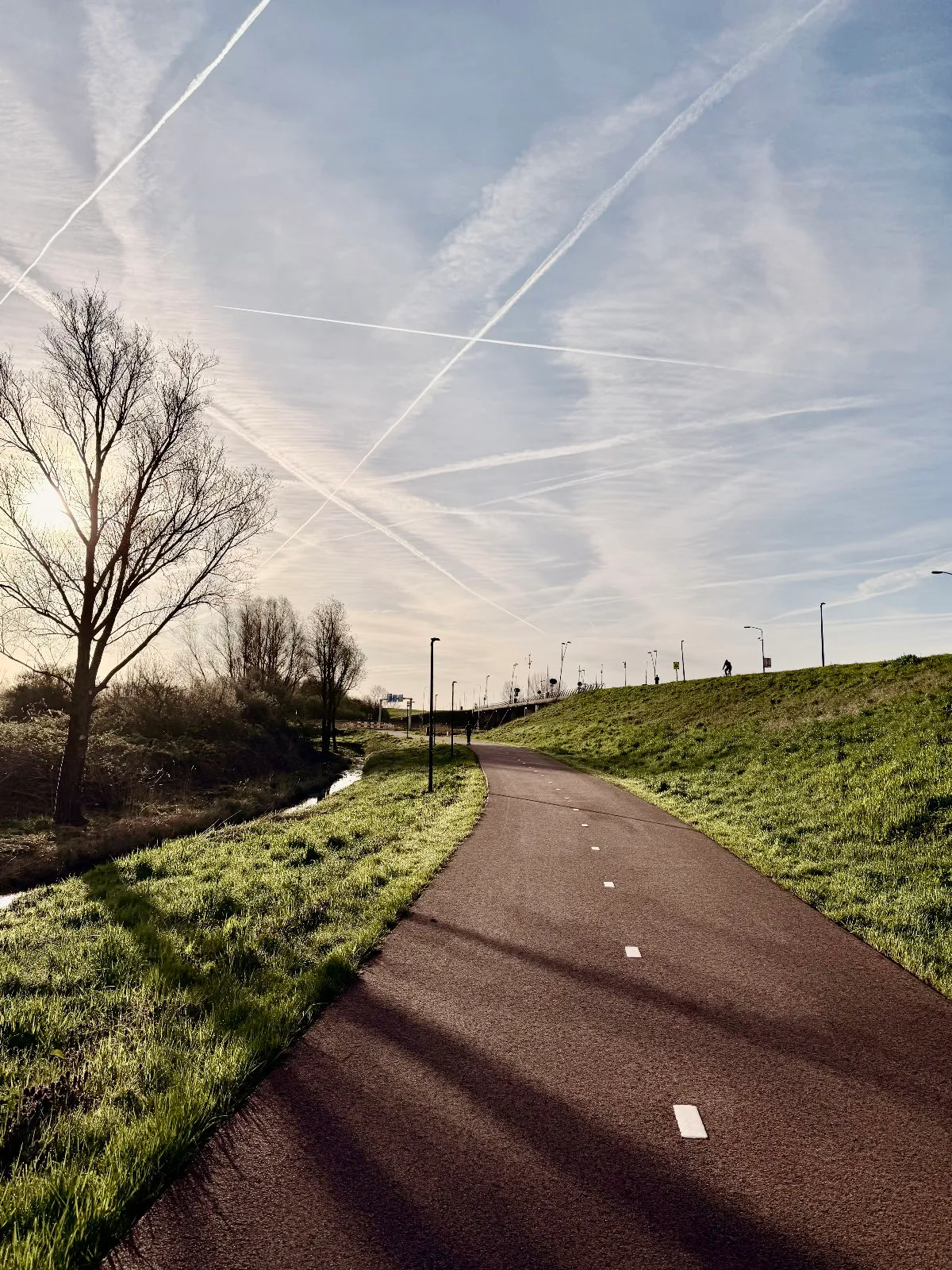 Morning Run