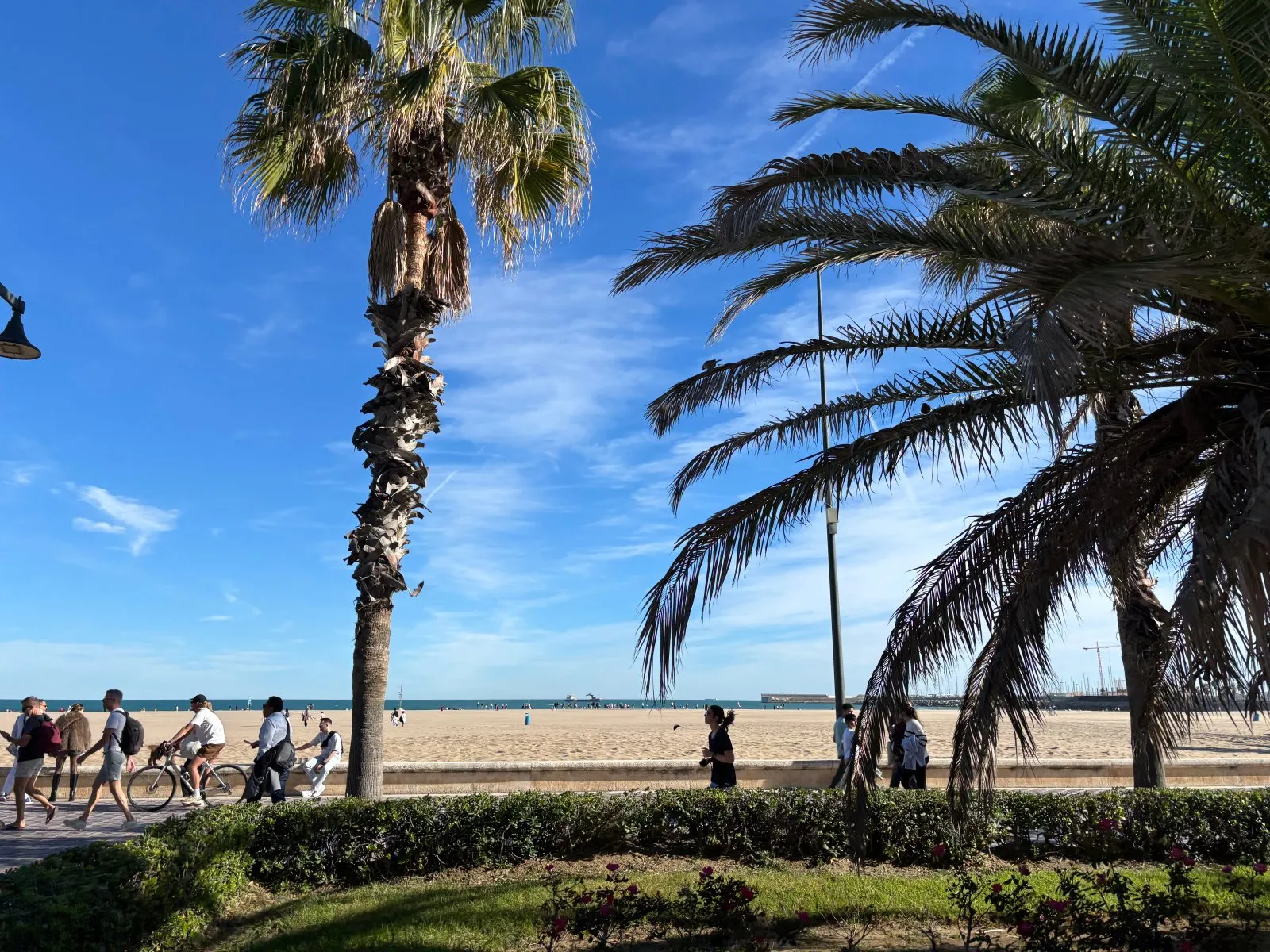 Intervals Run 400m w/ 600m jog + 1km w/ 600m jog + 200m w/ 600m jog + 1km w/ 600m jog + 100m w/ 600m jog + 1km w/ 600m jog + 200m w/ 600m jog + 600m w/ 600m jog + 300m w/ 600m jog + 2x800m w/ 600m jog (WU 1.0km)