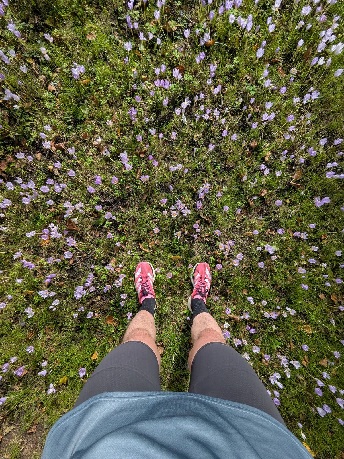 Recovery 6km